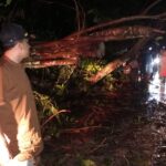 07_26_51_cd35cac1c57500c017ad338644887efb