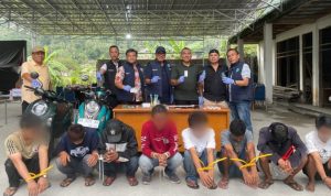 Point Blur_Nov072025_235339