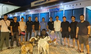 IMG_20260611_195047