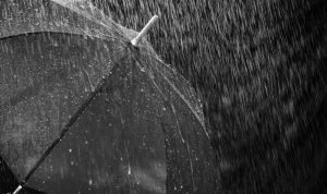 bru-no-rain-3524800_1920