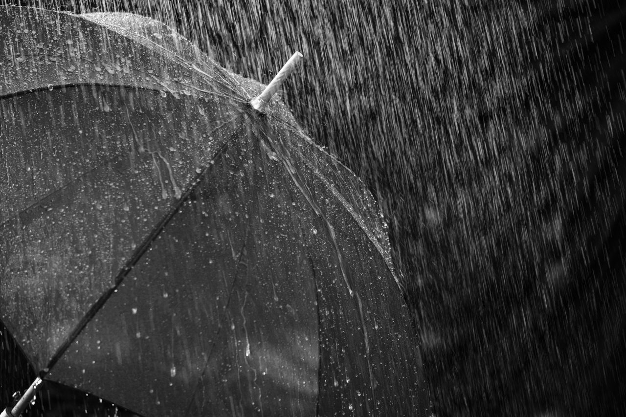 bru-no-rain-3524800_1920