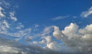 IMG-20260711-WA0041