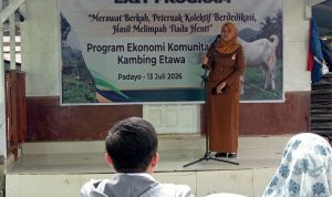 IMG-20260714-WA0005