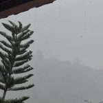 IMG-20260720-WA0034