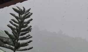 IMG-20260720-WA0034