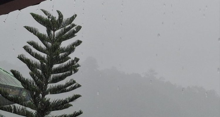 IMG-20260720-WA0034