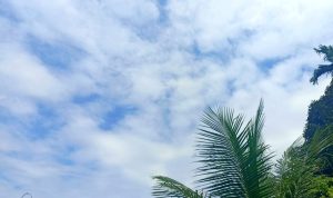 IMG_20260710_115208