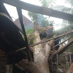 IMG-20260812-WA0017