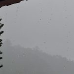 IMG-20260819-WA0059
