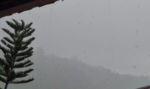 IMG-20260819-WA0059