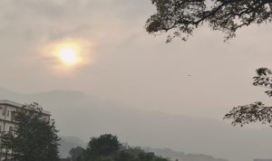 IMG_20260813_202639