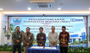 IMG-20260926-WA0036