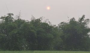 IMG-20261007-WA0001
